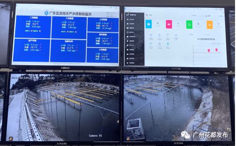 數字賦能 花都開啟現代農業4.0時代，互聯網銷售引領產業新變革